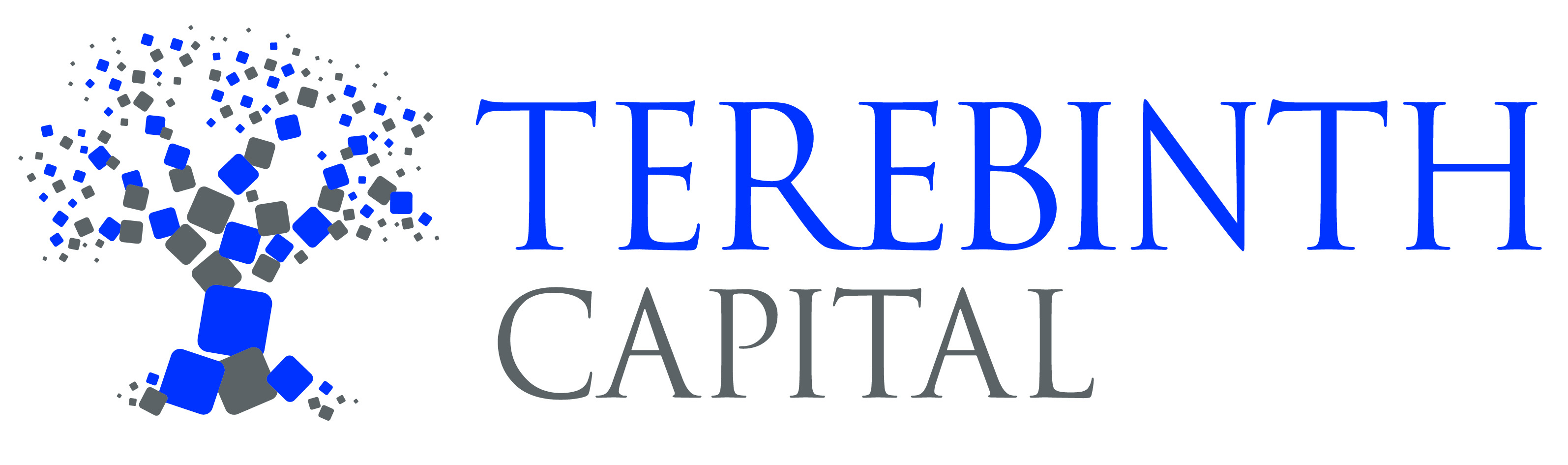 Terebinth Capital